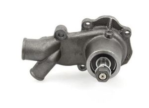 Pompa-Apa-Landini-6840