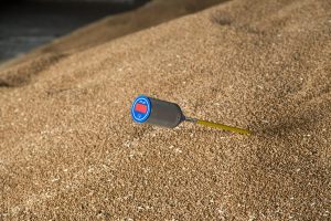 Sonda masurat temperatura saci mari