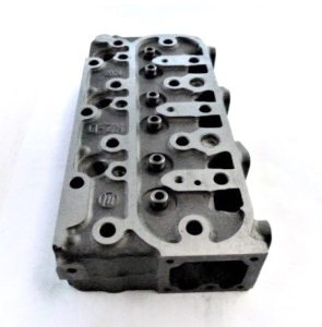 Chiuloasa Hinomoto CX18