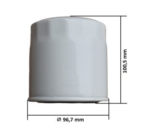 Filtru ulei Kubota GT19