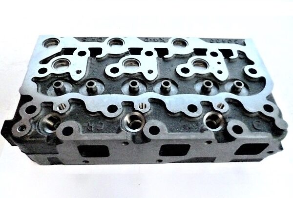 Chiulasa Hinomoto NX19