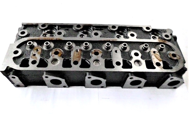 Chiulasa Hinomoto NZ230