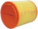 Filtru aer exterior Massey Ferguson - Sparex 73081 - imagine 2