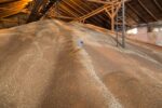 Sonda pentru masurarea temperaturii cerealelor, lungime 2 m - imagine 7