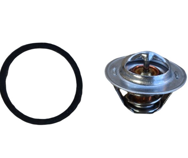 Termostat Iseki