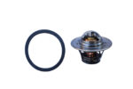 Termostat Hinomoto C172