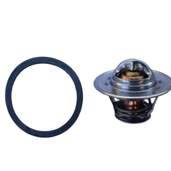 Termostat Hinomoto C172