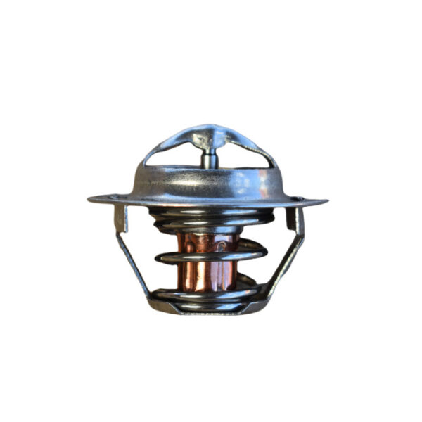 Termostat Iseki E3AF1