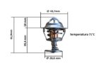 Termostat Kubota D1463